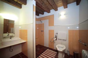Baño adaptado a minusválidos